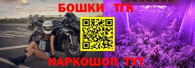 шишки Тулун