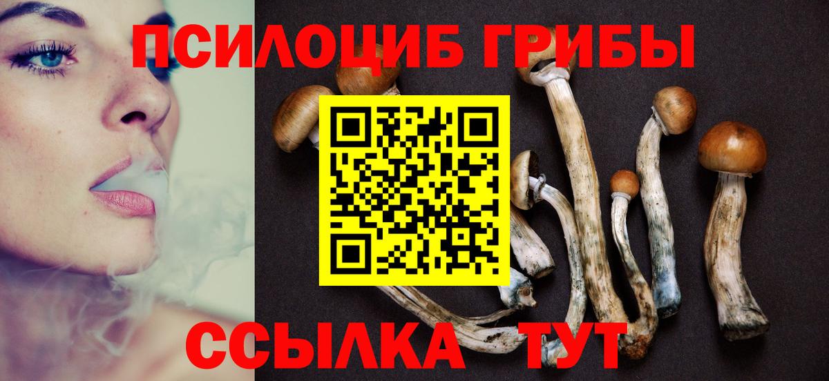 Псилоцибиновые грибы MAGIC MUSHROOMS  Вход с VPN  Псилоцибиновые грибы мицелий  Михайловск 